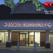 Animal Emergency